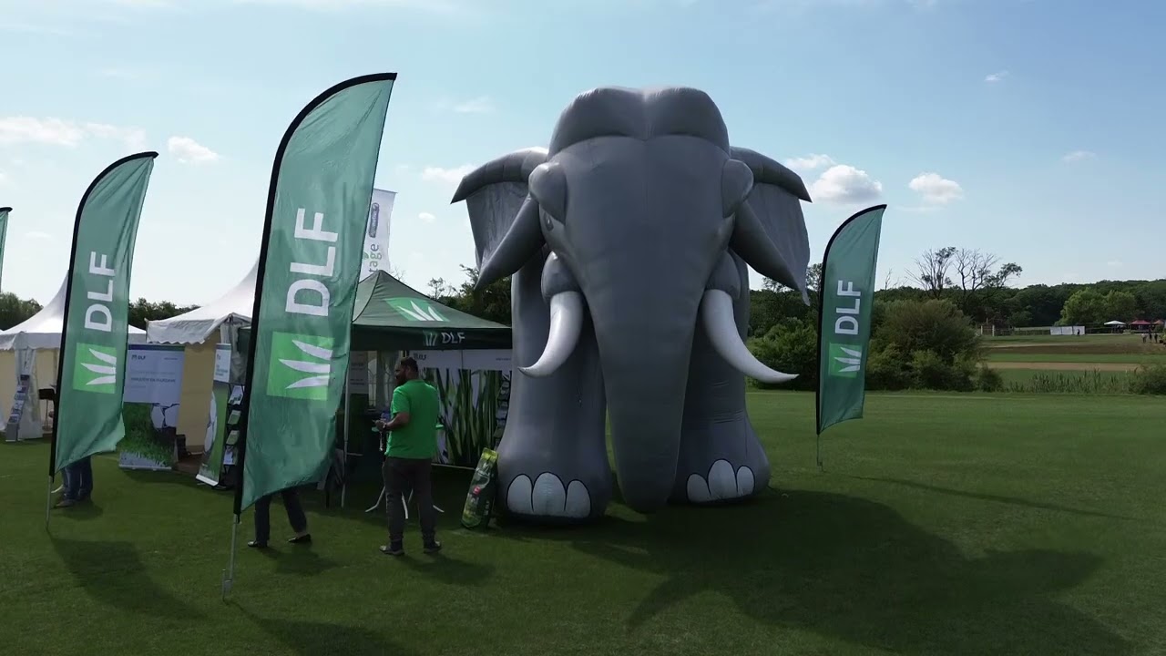 ETP Field Day 2025 @ Rollrasen van de Sluis in Luxembourg