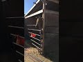 Rescue horses sharing hay here at Double D Animal Rescue and Community Services