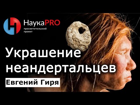 Видео: Украшение неандертальцев из стоянки среднего палеолита «Рожок» в Ростовской области – Евгений Гиря