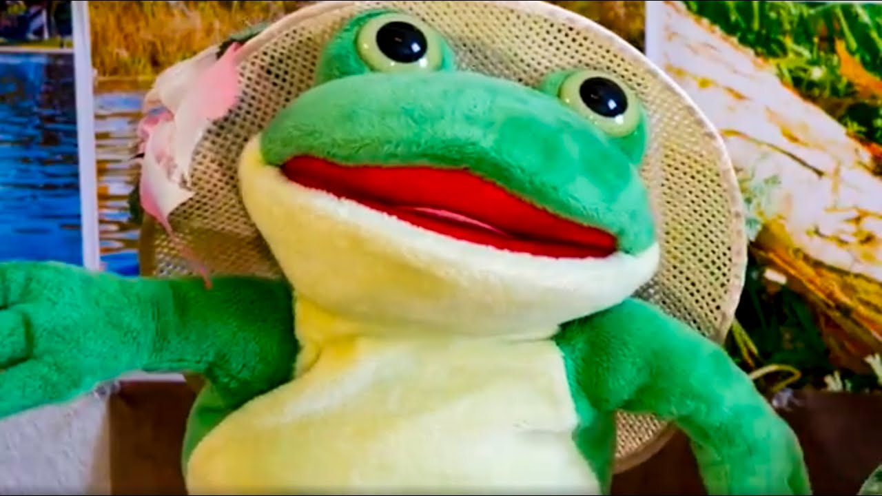 Frogs in quarantine part 2 YouTube