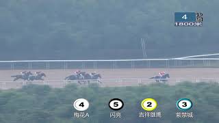 20181110 Wuhan Class 2 to 3 1800m (Race 4) 武汉速度赛马公开赛D13 第4场 二三班 1800米