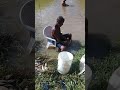 Limpando peixe dentro da agua