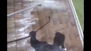 Chuck Bergman:Charlotte County Roof Cleaning Done Properly