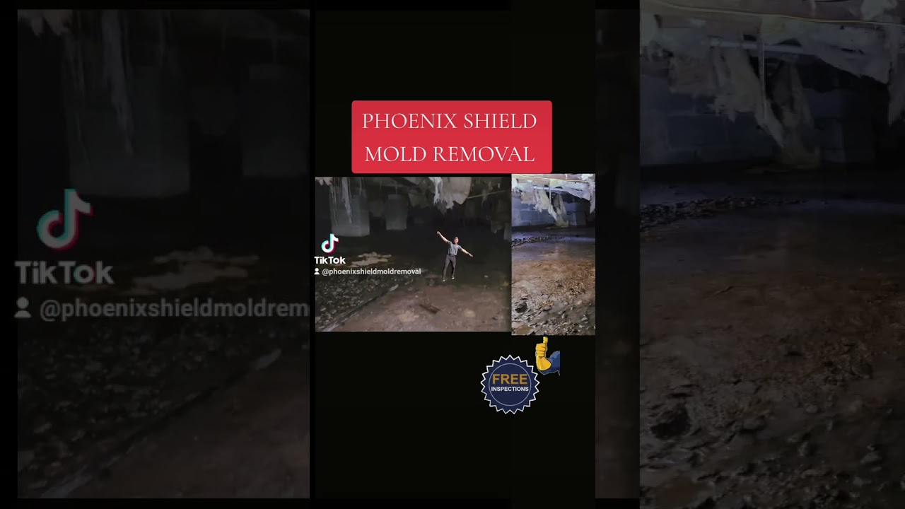 Have you been in your crawl space? Get a mold inspection done today.