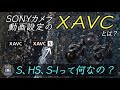 【SONYカメラ設定】動画の『XAVC-S、HS、S-I』って何が違うの?→かなり違うので解説します!