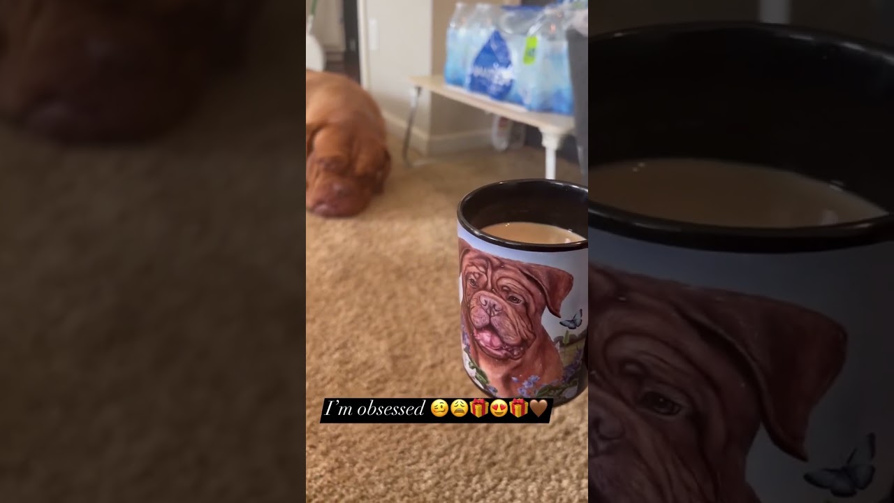 🥴😩😍🤎🥰🎁 