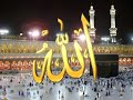 مولاي طه الزين