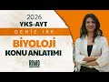3) Denetleyici Düzenleyici Sistem | Sinir Sisteminin Bölümleri | AYT-Biyoloji | Deniz IRK - 2026