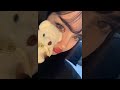 S1mba Rover Ft Dtg Sped Up Tiktok Version 1 Hour Loop S1mba Rover Ft Dtg Sped Up Tiktok Version 1 Hour Loop