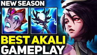 RANK 1 BEST AKALI IN NEW SEASON AMAZING GAMEPLAY! | League of Legends