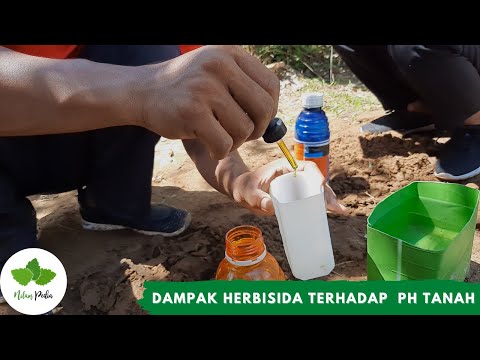 Video: PH Rumput Saya Terlalu Tinggi: Tips Cara Menurunkan pH Rumput