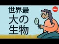 世界で一番大きい生き物 ― アレックス・ローゼンタール