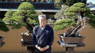 Shunka-en Bonsai Museum: A masterpiece collection by Kunio Kobayashi