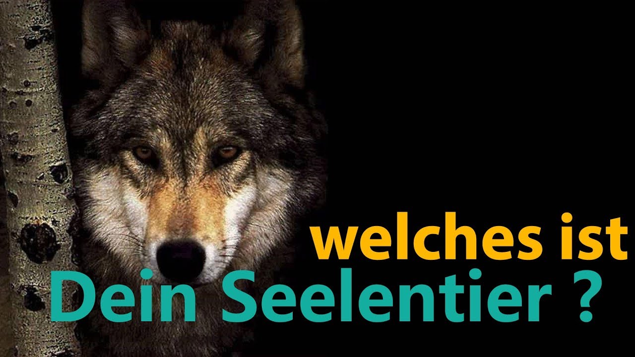 Welches ist dein Seelentier?