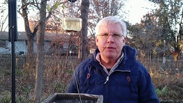 Ant Moat Bird Waterer - Thank You #5 (700 subscribers) 2018-11-19
