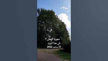سورة النحل للقارئ احمد النفيس #الاردن #السعودية #العراق #القرآن_الكريم #راحة_نفسية
