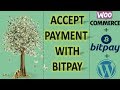 Accept Payment With Bitpay  Bitpay With Woocommerce  Accept Bitcoin For Your Ecommerce