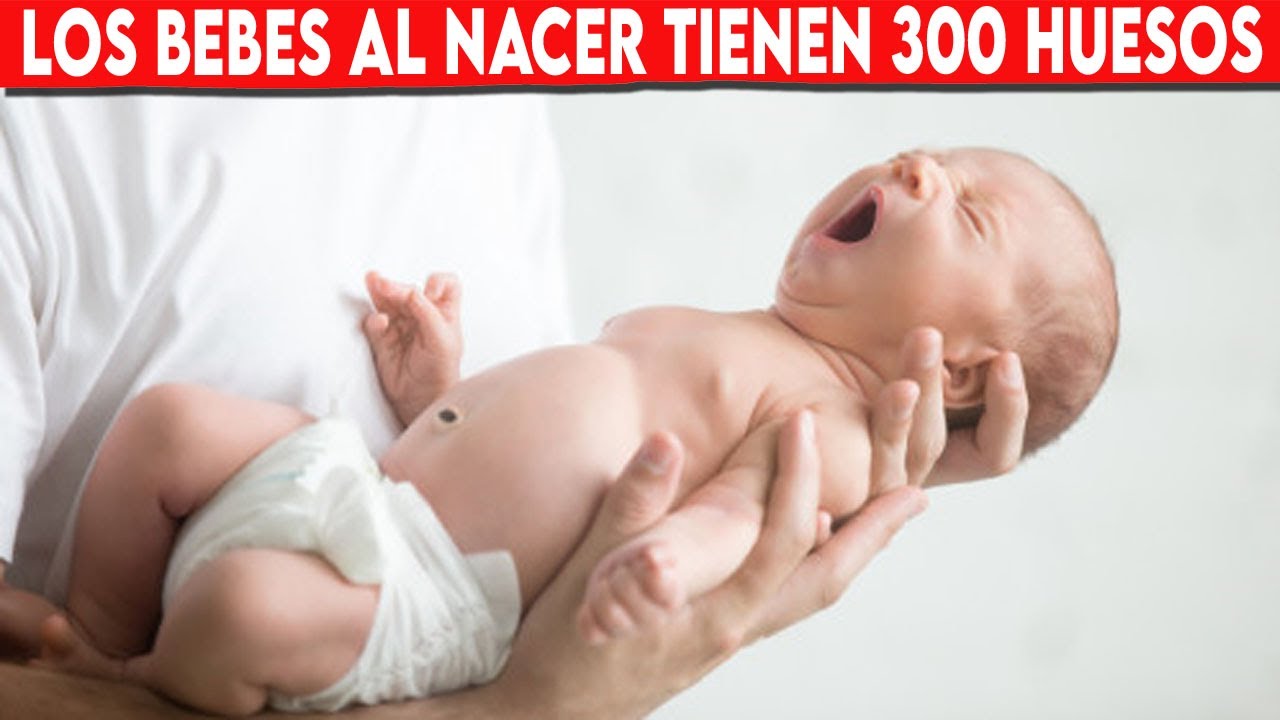 🔴 SABIAS QUE LOS BEBES AL NACER TIENEN 300 HUESOS - YouTube