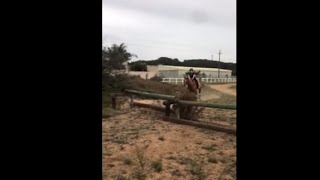 Dog Runs To Rescue His Owner After She Fell Of A Horse Back