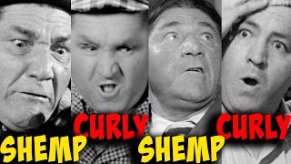 THREE STOOGES Film Festival - SHEMP/CURLY/SHEMP/CURLY Part 3! OVER THREE HOURS!!