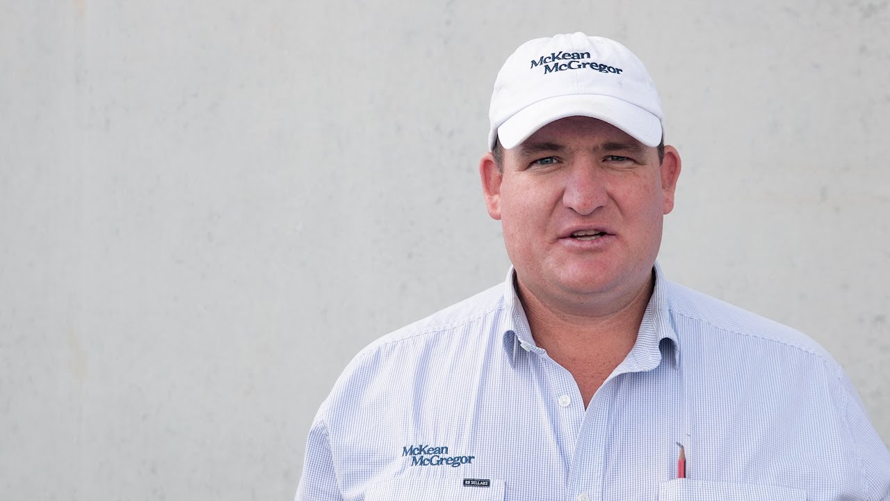 Bendigo Sheep & Lamb Market Report April 4, 2022 YouTube