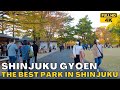 [4K60]Walking Tokyo | Shinjuku Gyoen Park in Autumn(November 14, 2021)