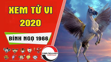 Xem Tử Vi 2020 Tuổi Bính Ngọ 1966 Để Biết Về Vận Mệnh Sướng Khổ Của Bạn
