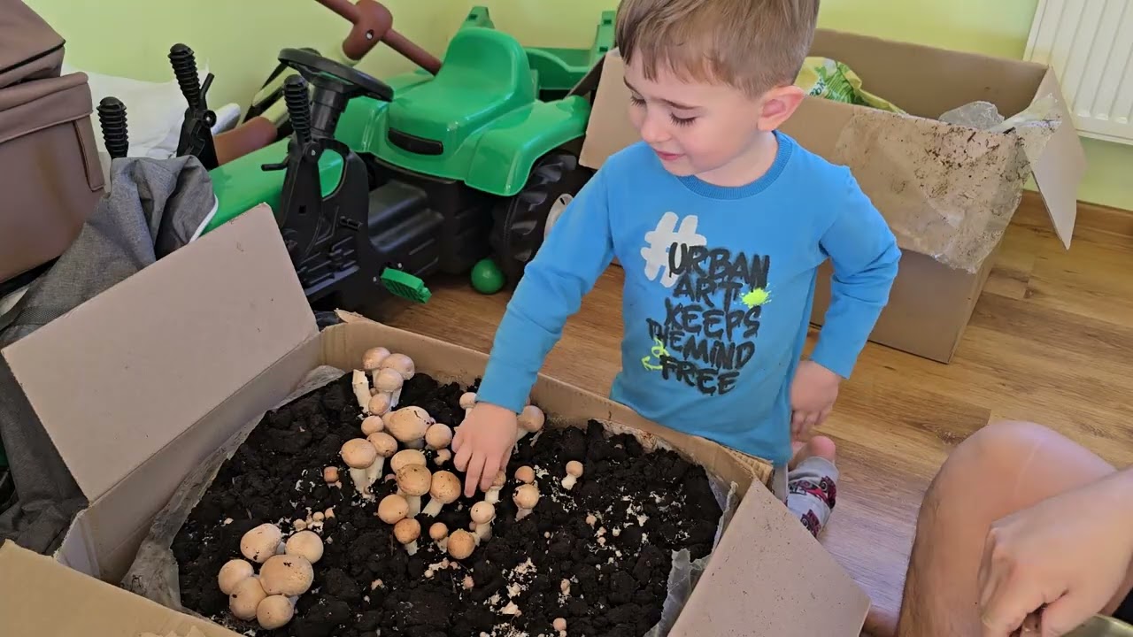 Кто победитель?) Сколько насобирали ? Смотрите что у нас еще есть))