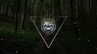 Matthew Koma - Kisses Back (remix)