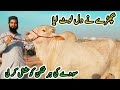 Dil se ki bargaining phir bhi nahi mila  northern bypass cow mandi  cattle market karachi