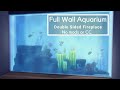 Wall aquarium  double sided fireplace tutorial no mods or cc the sims 4