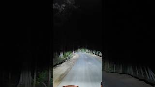 Night Time In Forest,Nature Sound