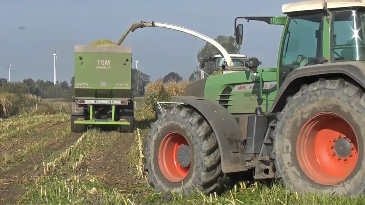 Mais Häckseln Claas Jaguar 960 und Demmler Dreiachskarren