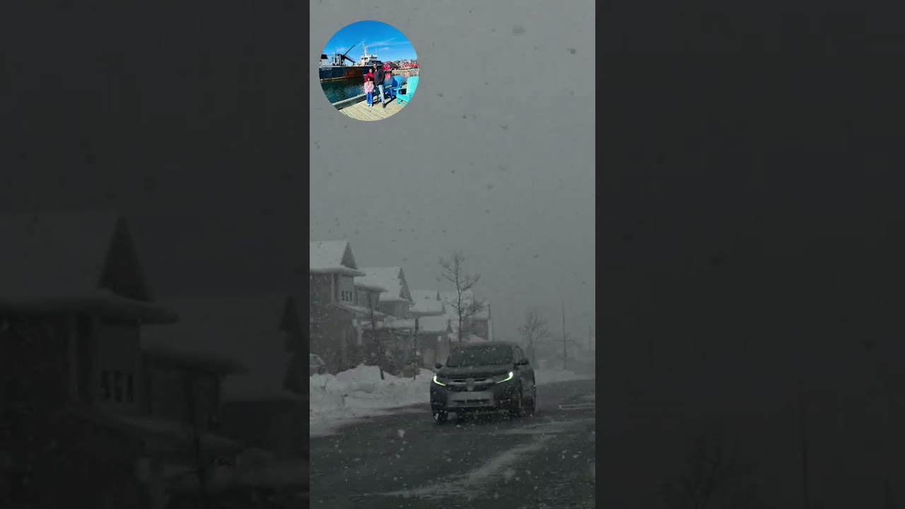 Quiet roads. Falling snow. A heart at peace❄️🚗✨ 