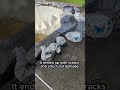 My Pool Repairs - Draining a Pool By Yourself  #floridapools #pool #licensedandinsured #shorts