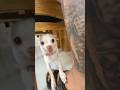 Niki Licked The Kuchi Kuchi Omggggрџ Јрџ Ј Niki Licked The Kuchi Kuchi Omggggрџ Јрџ Ј