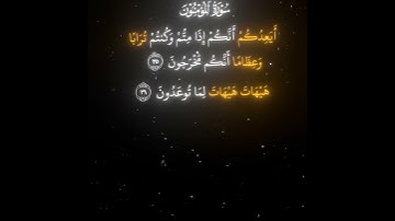 هيهات هيهات لما توعدون|.سورة المؤمنون|.قران كريم #islam #ياسر_الدوسري #quran  #قران