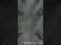 D&amp;D | Dreadmoor Free No Grid | Animated Battle Maps