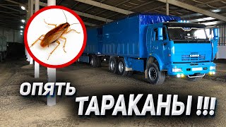 застрял с ТАРАКАНАМИ на КАМАЗЕ