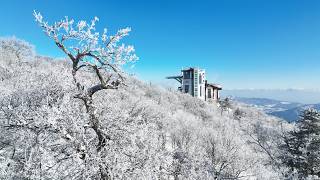 1st Mar 2026 Fun Ski Festival in Yongpyong