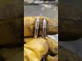Ремонт колотухи для бас-бочки. #сварка #ремонт #барабаны #колотушка #welding #drums