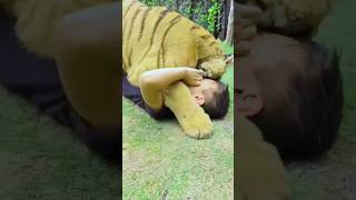 kid fighting with bangal tiger #tiger #lion #shorts #viralshorts