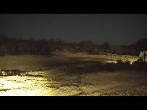 camera iphone 8 plus apk Djuma Private Game Reserve Live Stream