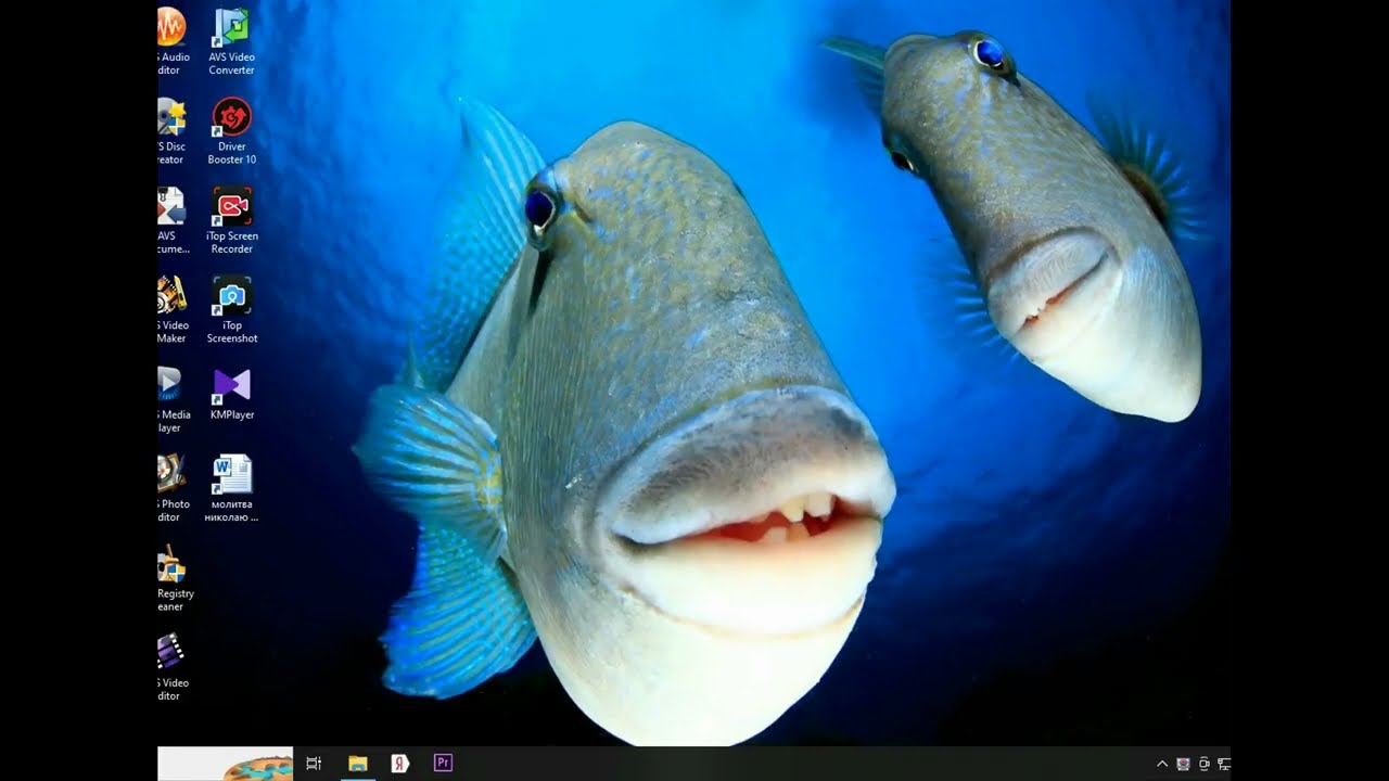 Fun Farm 10, Farm Frenzy