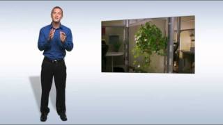 SAP Business ByDesign -- Perform Parallel Accounting: Overview Video