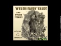 Welsh fairy tales and other stories by ph emerson  224 the craigydon blacksmith