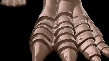 Sculptris - modeling a dragon part 3