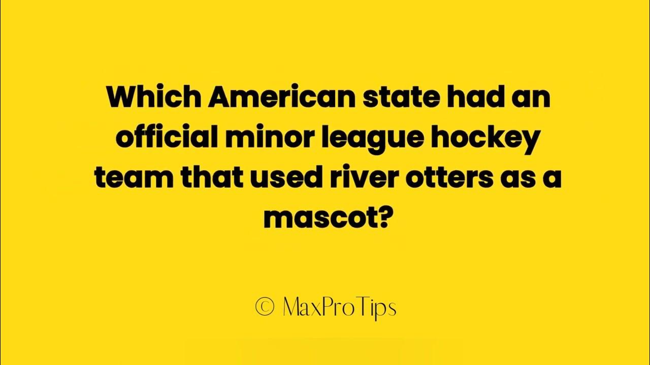which-american-state-had-an-official-minor-league-hockey-team-that-used
