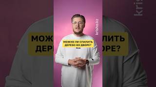Можно ли самому спилить дерево во дворе?🤔 вопрос от подписчика