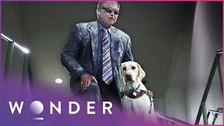 PET HEROES - THIS BLIND MAN SURVIVED A BUILDING COLLAPSE WITH THE HELP OF HIS DOG
